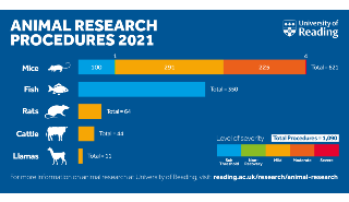 动物研究程序图表显示了2021年的统计数据